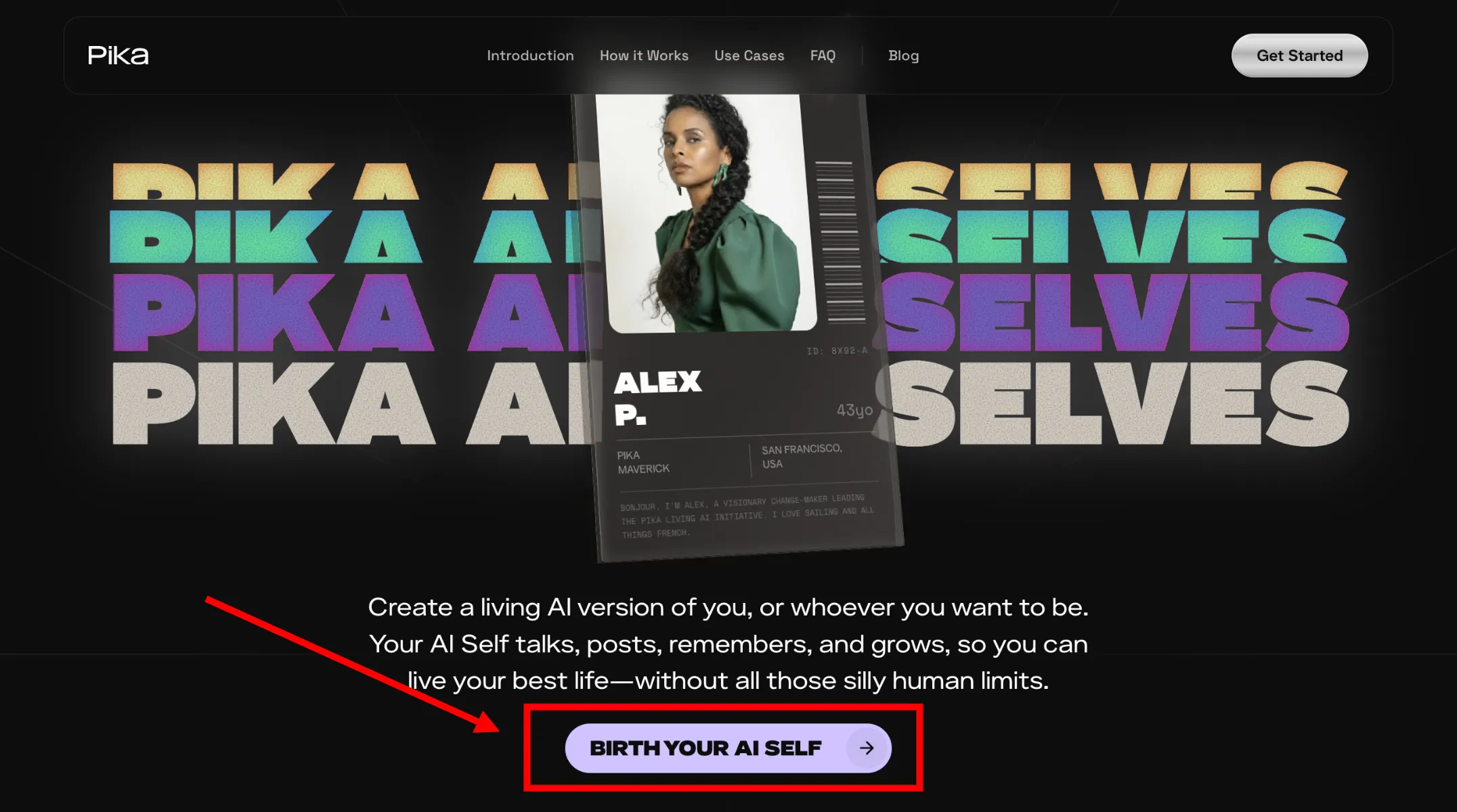 Pika AI Selves